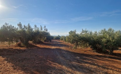 Terrain à Linares, Andalousie, Espagne 1