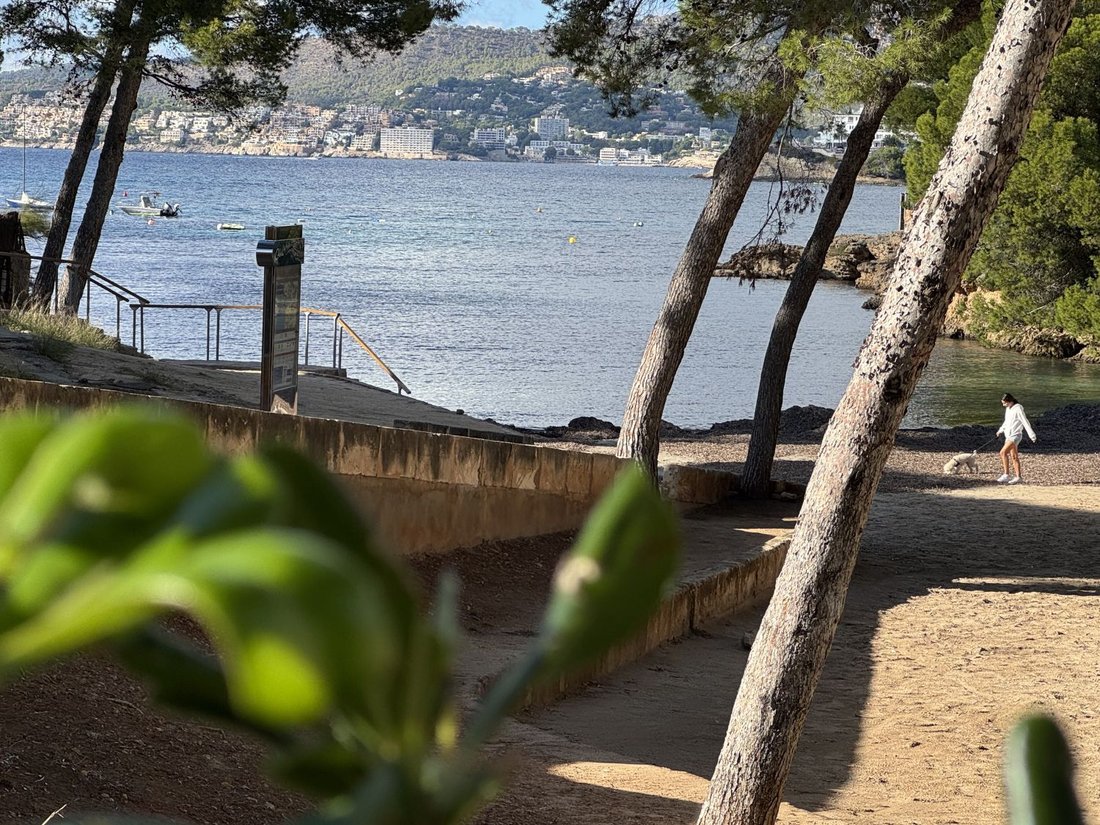 Apartment in Rotes Velles, Calvia, Balearic Islands 4 - 16575130