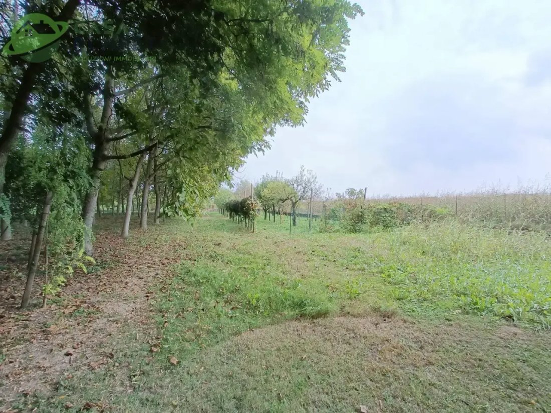 House in Zoppola, Friuli – Venezia Giulia, Italy 5 - 16575813