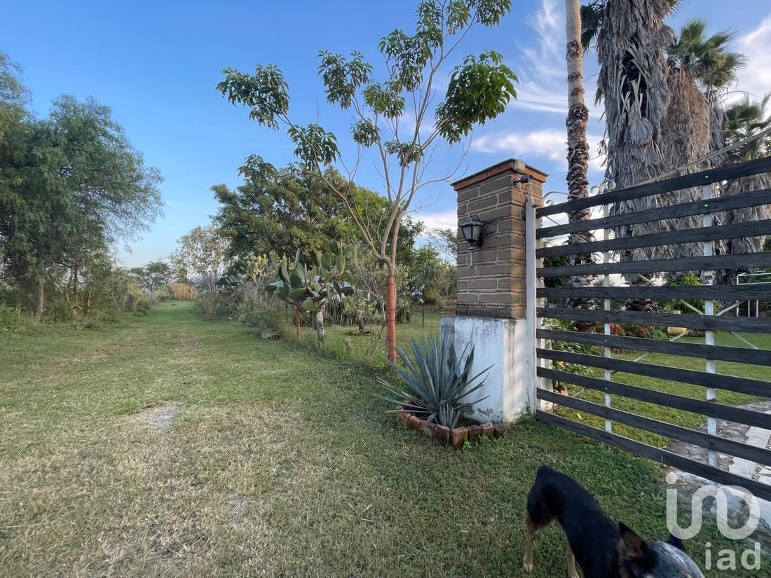 Farm Ranch in San Isidro Mazatepec, Jalisco, Mexico 4 - 16576494