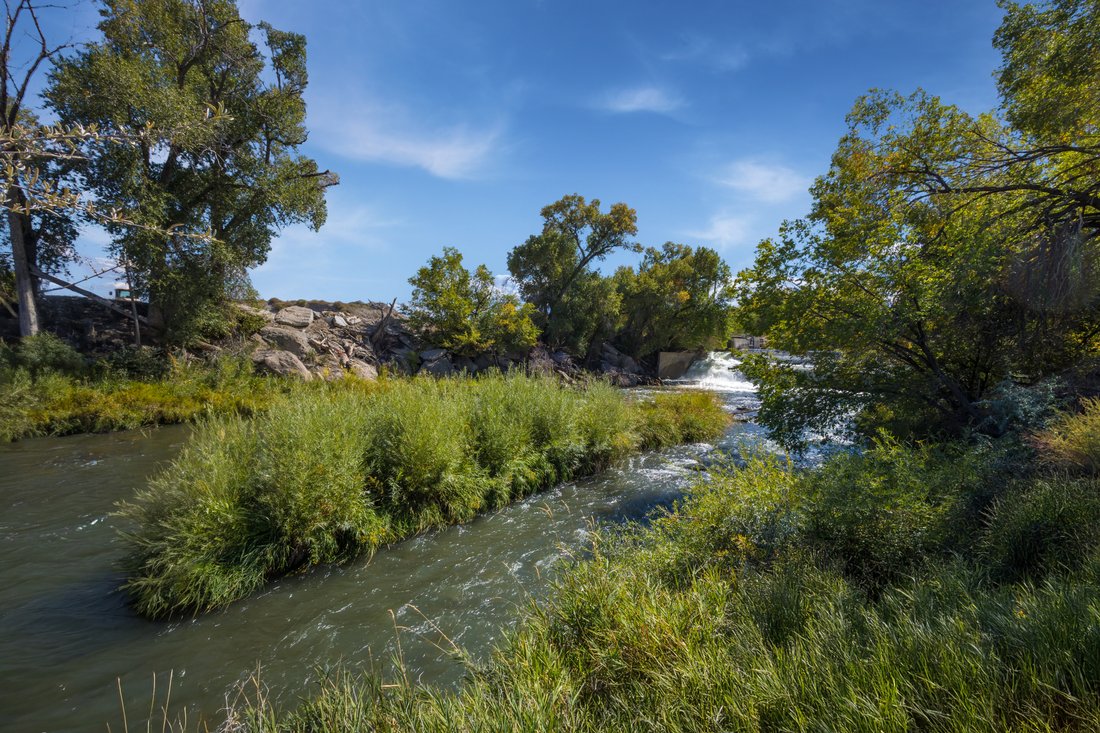 Montrose, Colorado, United States 4 - 16575284
