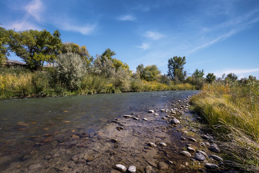Montrose, Colorado, United States 1 - 16575284