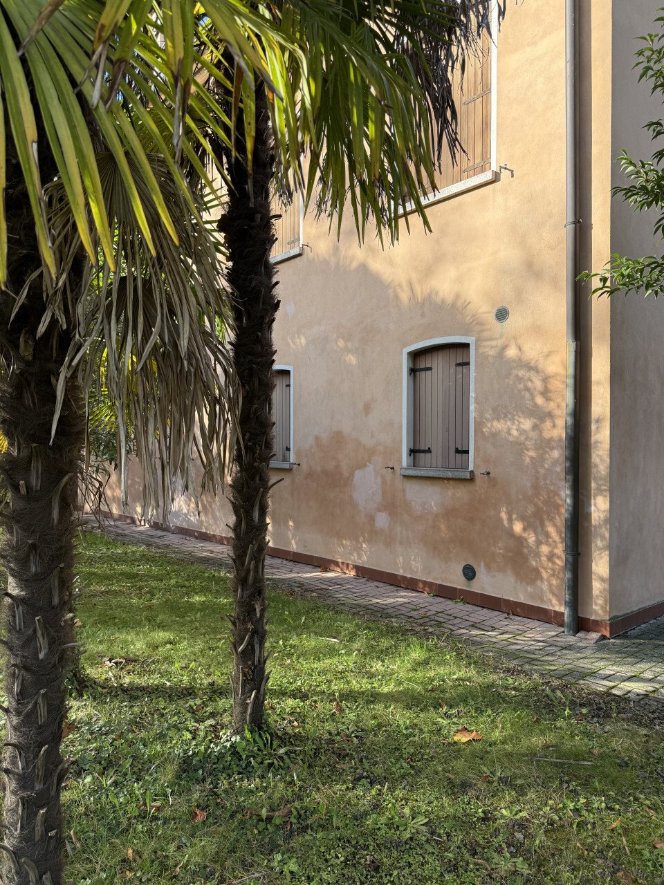 House in Center, Mogliano Veneto, Veneto 5 - 16579201