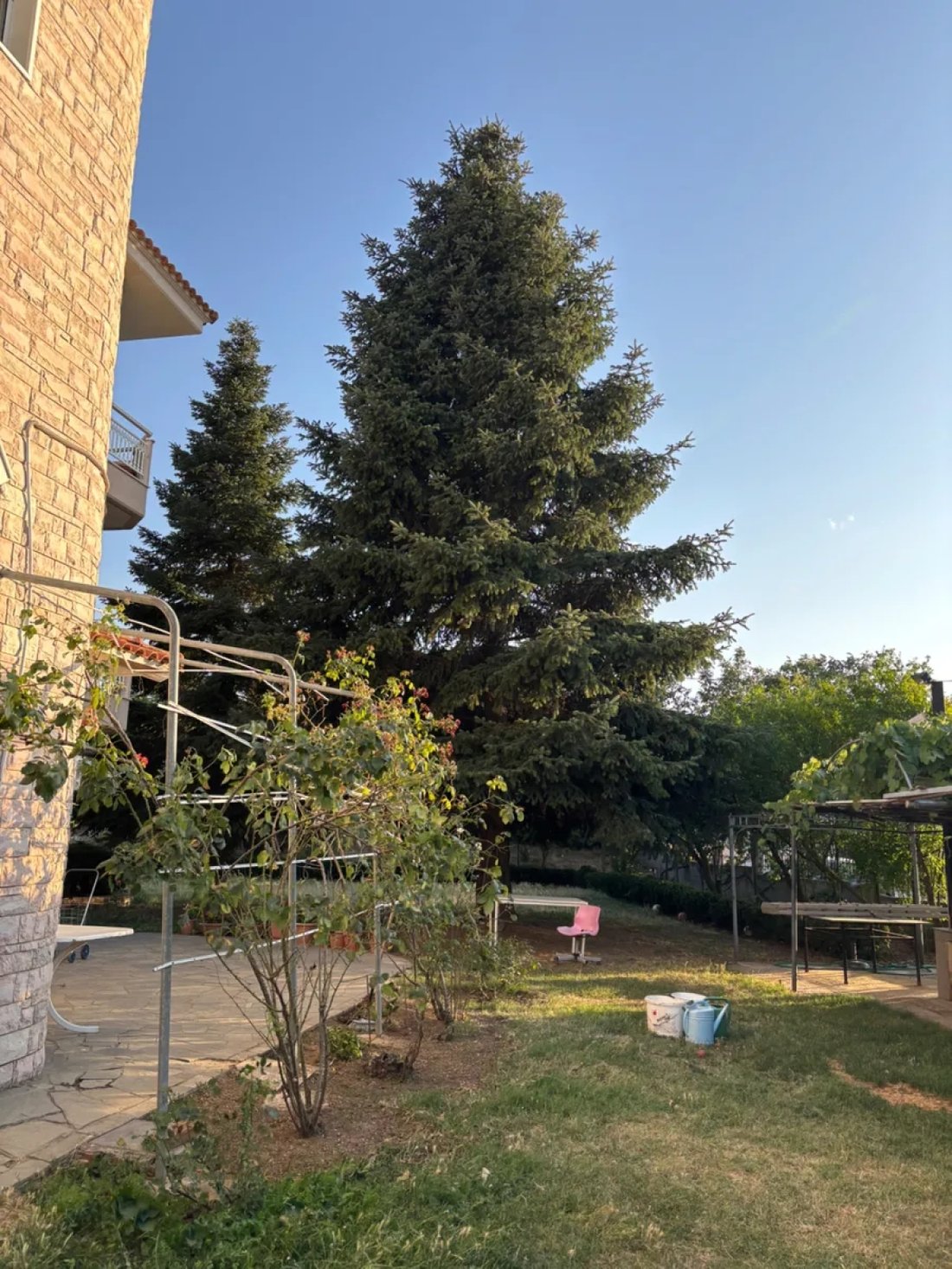 Filyro Community, Chortiatis, Greece 4 - 16576237