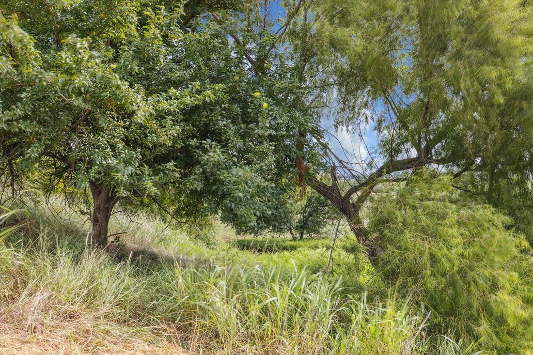 Land in Carmine, Texas, United States 3 - 16577176