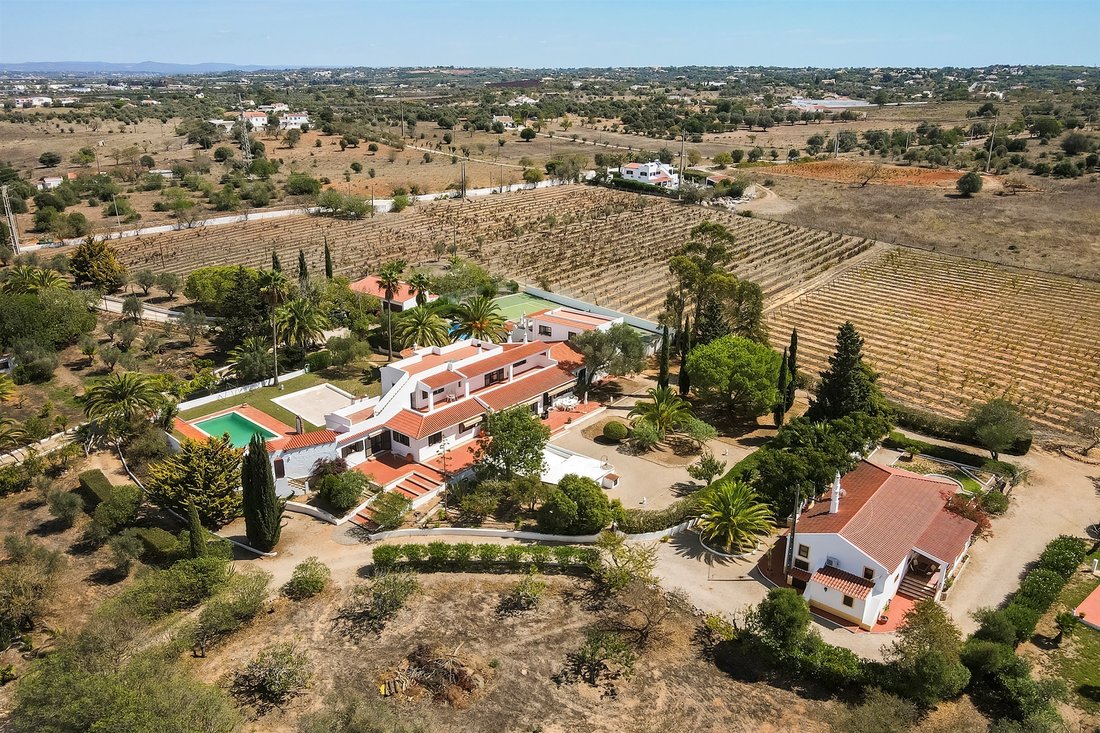 Farm Ranch in Lagoa e Carvoeiro, Algarve, Portugal 4 - 13338758