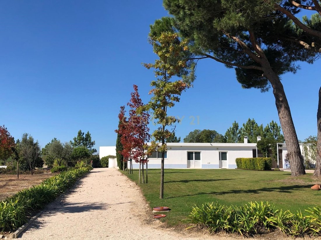 Farm Ranch in Azambuja, Lisbon, Portugal 1 - 14994044