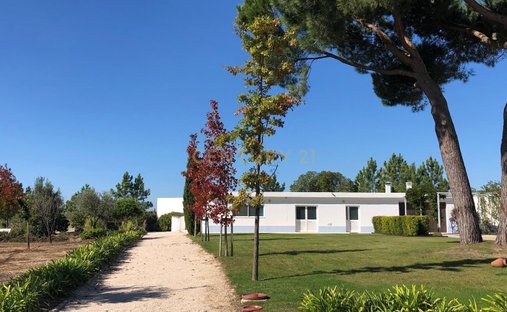 Farm Ranch in Azambuja, Lissabon, Portugal 1