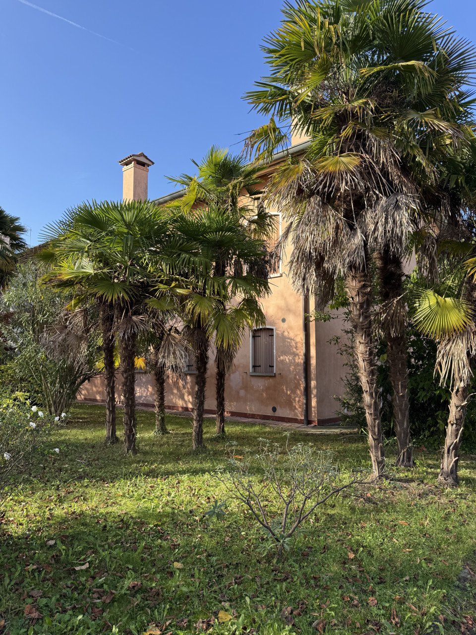 House in Center, Mogliano Veneto, Veneto 3 - 16579201