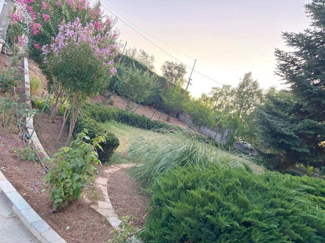 Filyro Community, Chortiatis, Greece 3 - 16576237