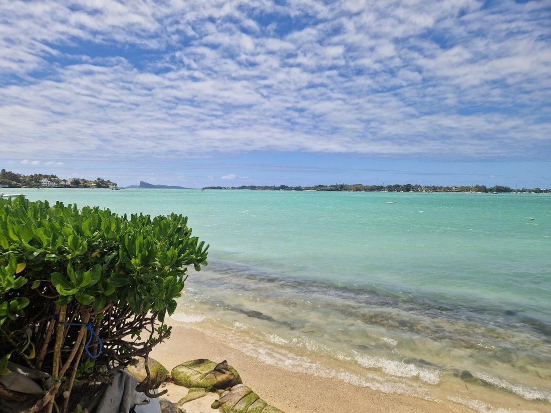 Apartment in Grand Baie, Pamplemousses District, Mauritius 5 - 16575845