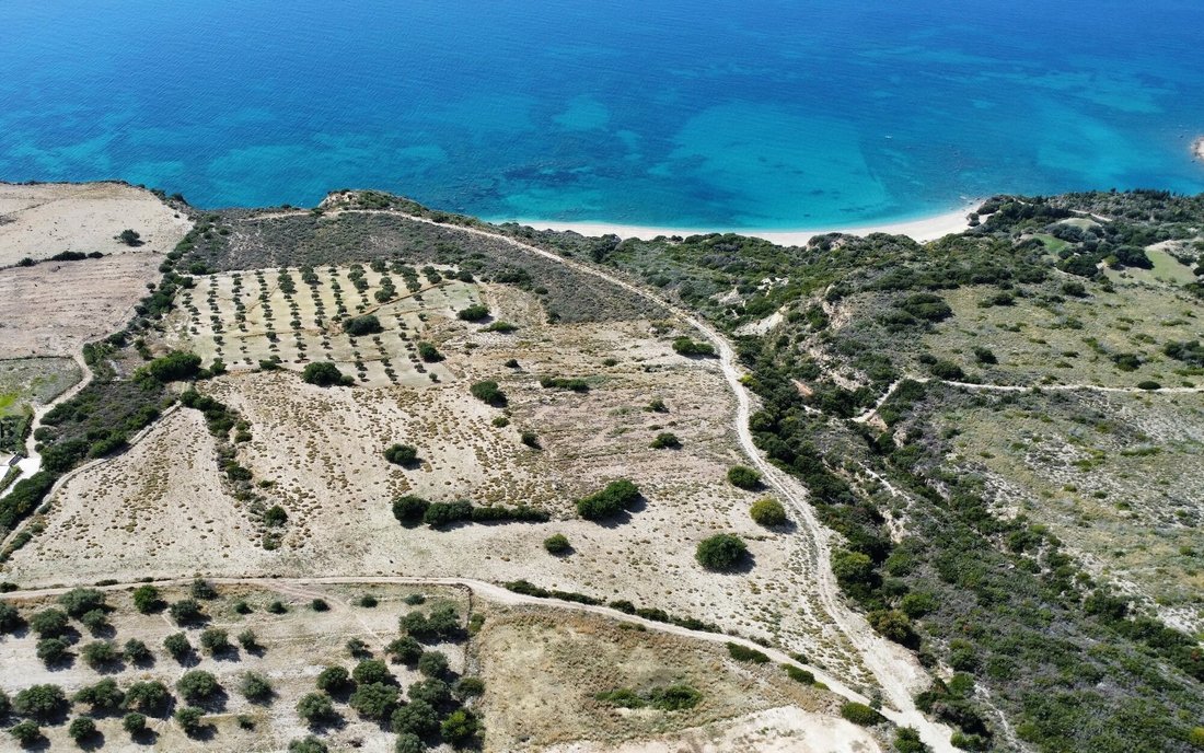 Land in Elios-Proni, Peloponnese, Western Greece and the Ionian, Griechenland 1 - 16576104