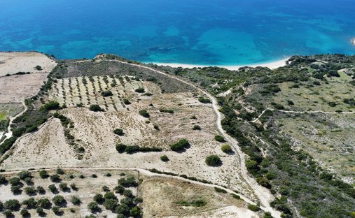 Land in Elios-Proni, Peloponnese, Western Greece and the Ionian, Greece 1