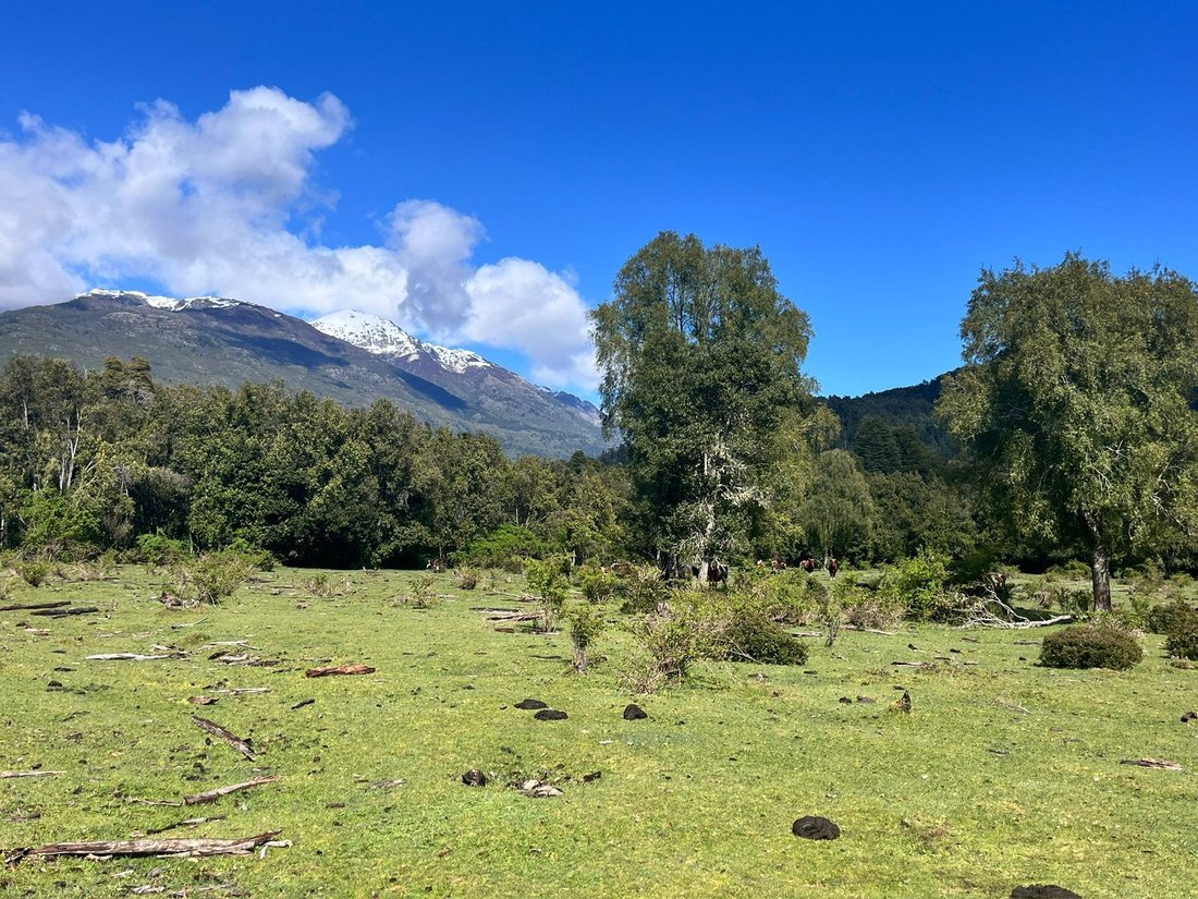 Land in Llanada Grande, Los Lagos, Chile 4 - 16575953