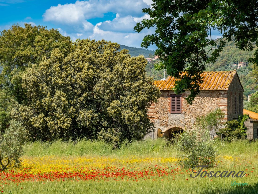 Farm Ranch in Massa Marittima, Tuscany, Italy 4 - 16576081