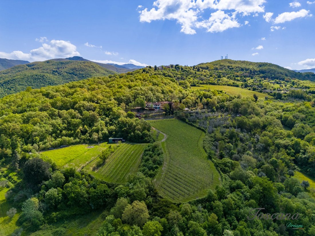 Farm Ranch in Dicomano, Tuscany, Italy 2 - 16576367
