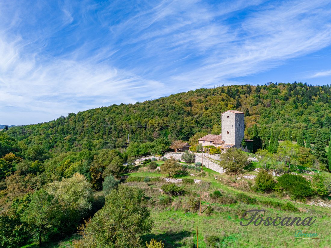 Château à Gaiole in Chianti, Toscane, Italie 4 - 16575409