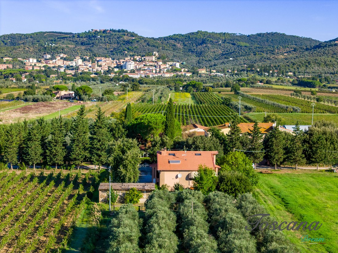 Villa in Suvereto, Tuscany, Italy 1 - 16576169