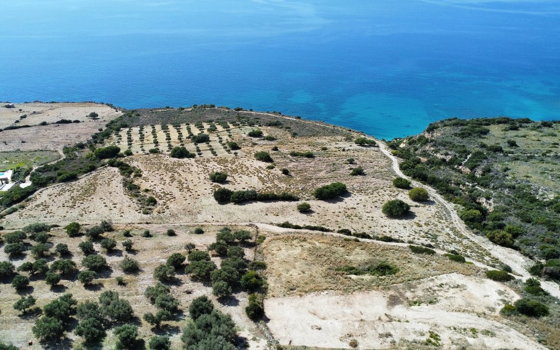 Land in Elios-Proni, Peloponnese, Western Greece and the Ionian, Griechenland 3 - 16576104