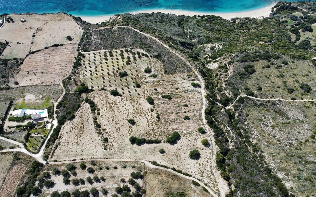 Land in Elios-Proni, Peloponnese, Western Greece and the Ionian, Griechenland 4 - 16576104