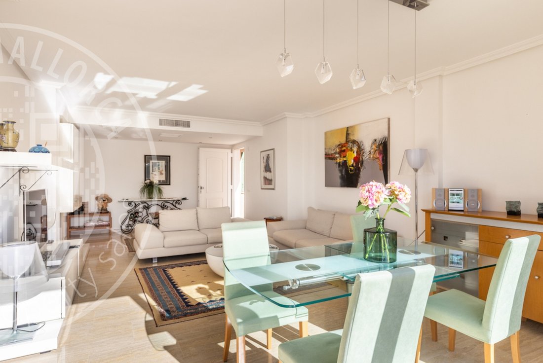 Apartment in Balearic Islands, Spain 5 - 16576818
