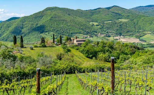 Farm Ranch in Dicomano, Tuscany, Italy 1