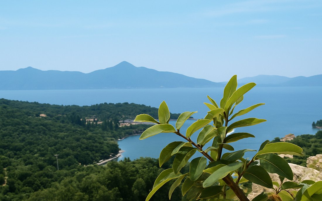 Land in Community of Spartochori, Peloponnese, Western Greece and the Ionian, Greece 2 - 16576177