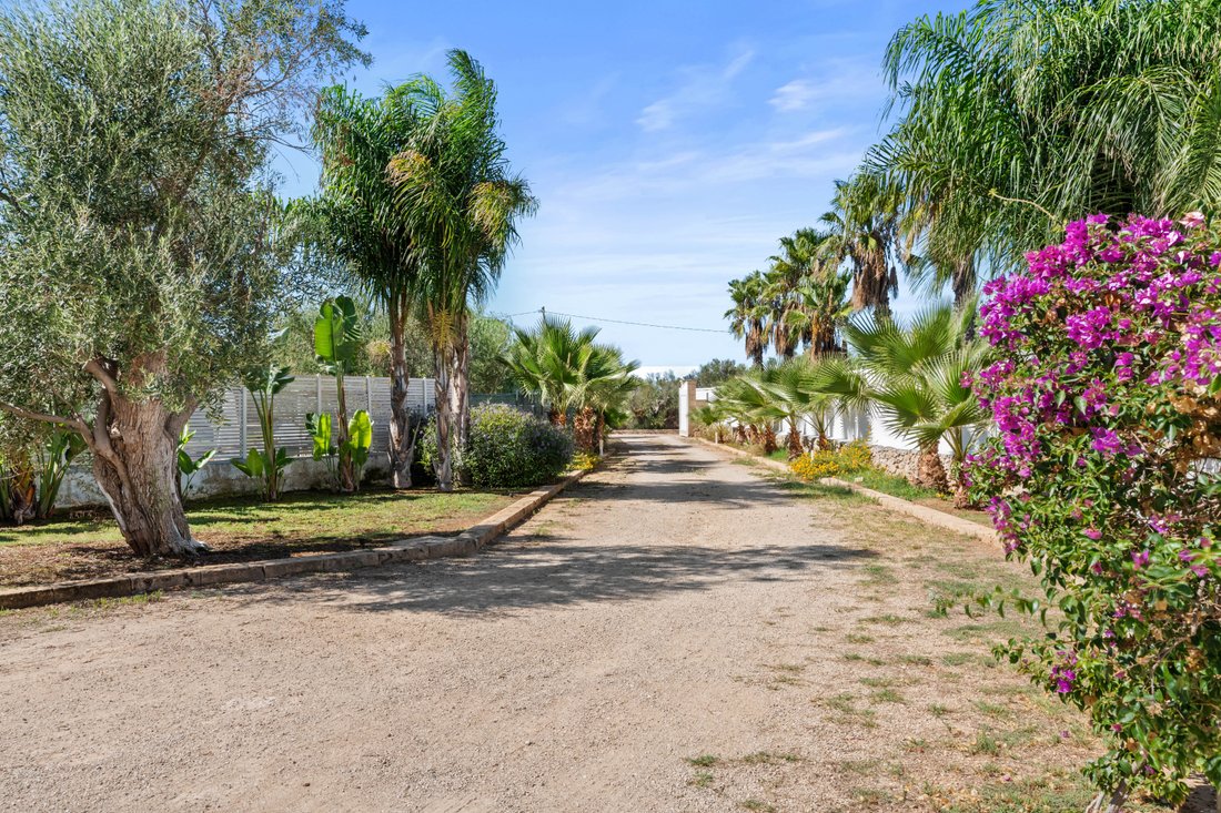 Villa in Alliste, Apulia, Italy 5 - 16581275