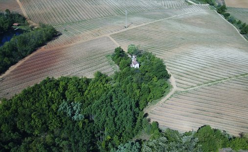 Castle for Sale in Gavi, Piedmont, Italy