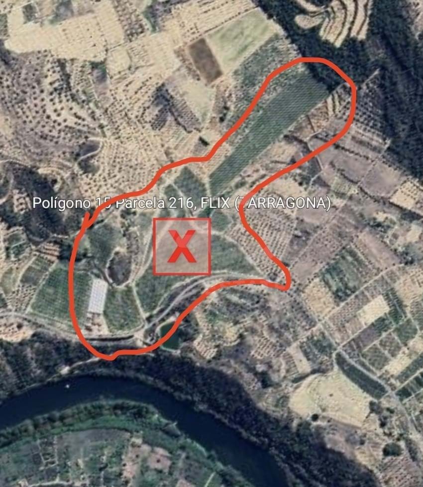 Land in Flix, Catalonia, Spain 2 - 16361051
