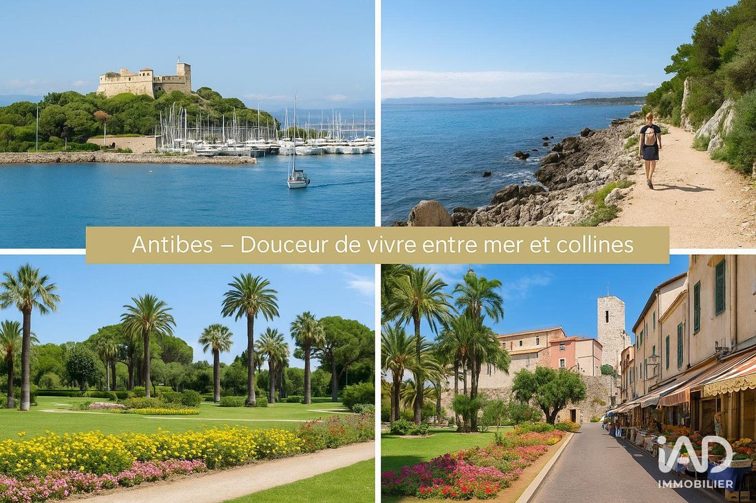 Apartment in Les Combes, Antibes, France 1 - 16605666