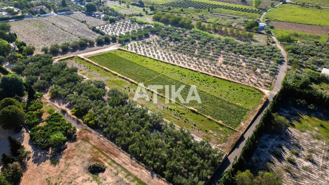 Finca a Ontinyent, Comunità Valenzana, Spagna 2 - 16581744