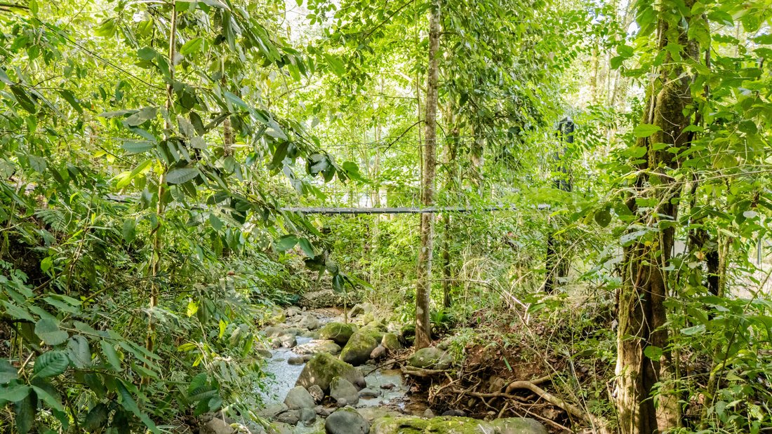 House in Sierpe, Puntarenas Province, Costa Rica 5 - 16582552