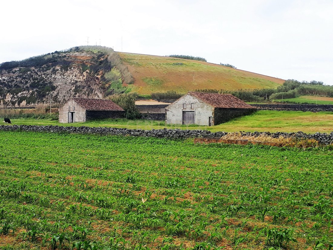 Land in Rabo de Peixe, Azores, Portugal 2 - 13501481