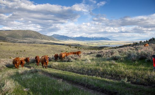 Azienda agricola a McAllister, Montana, Stati Uniti 1