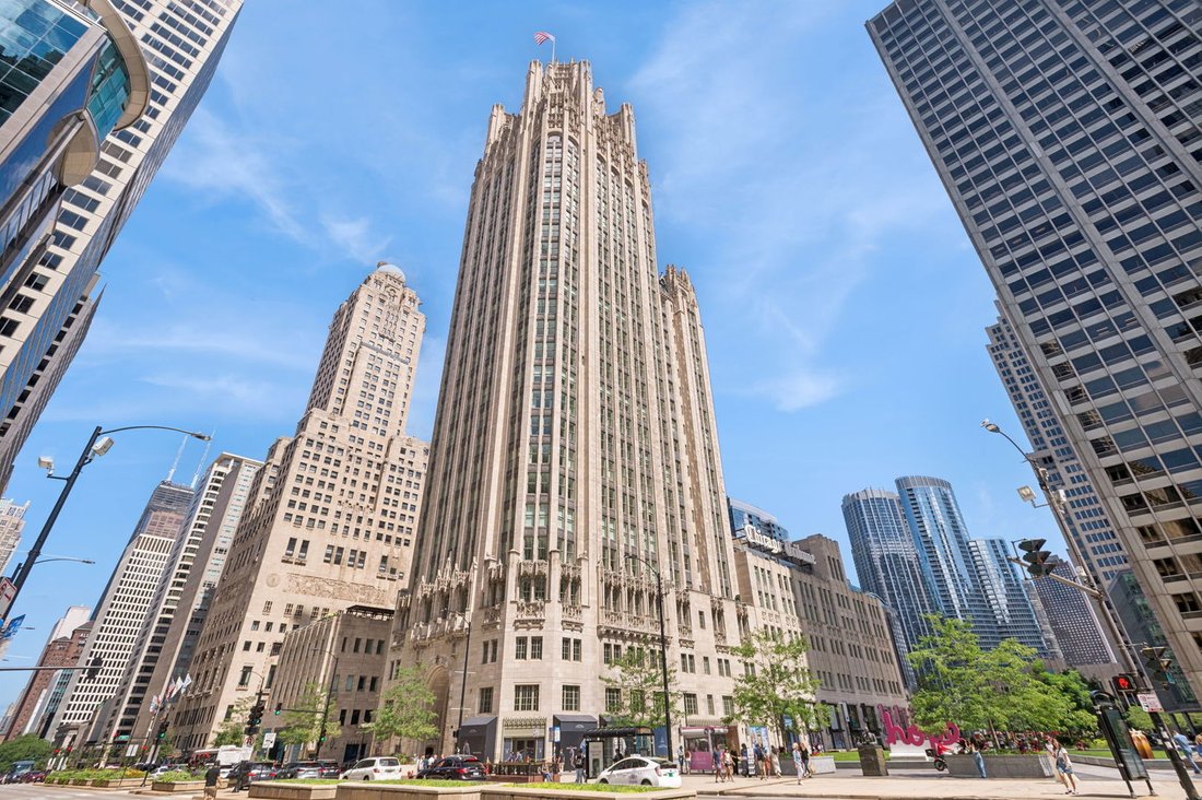 Condo in Chicago, Illinois, United States 1 - 16587147