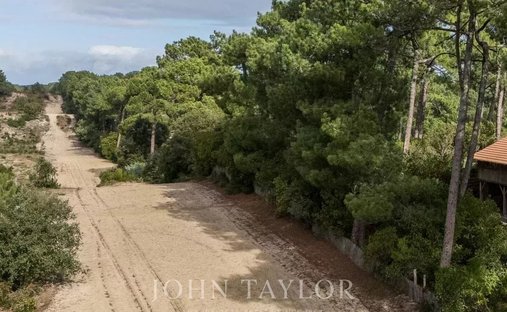 Villa in Centre Cap Ferret, Lège-Cap-Ferret, France 1