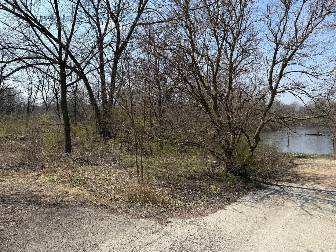 House in Oswego, Illinois, United States 5 - 16587596