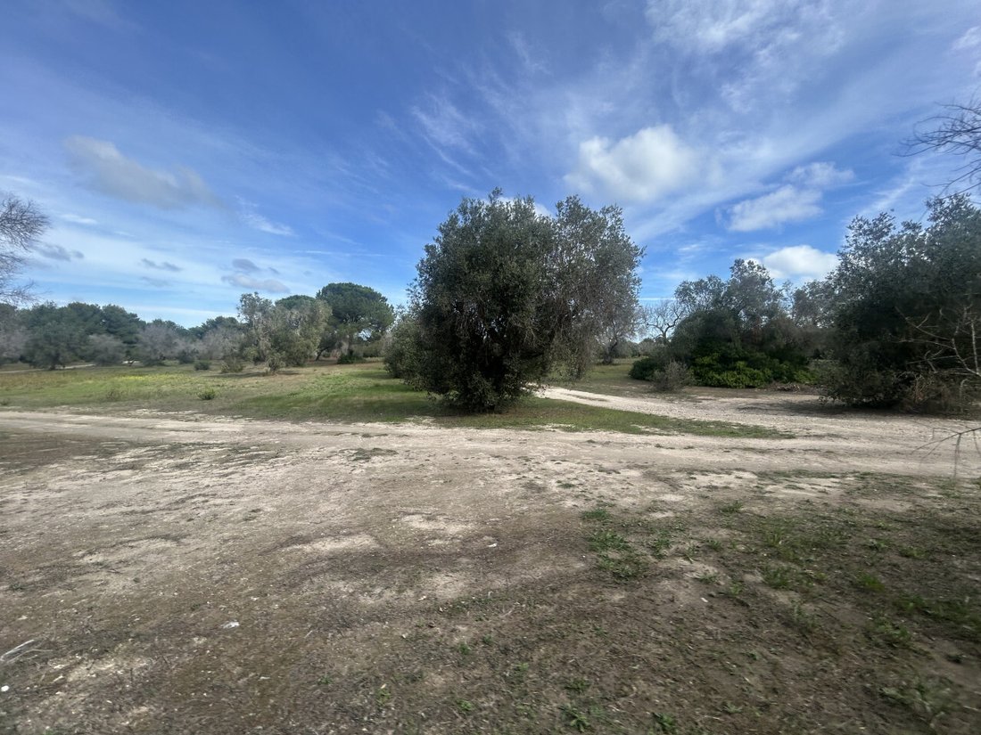 Land in Litorale Leccese, Lecce, Apulia 2 - 16596806
