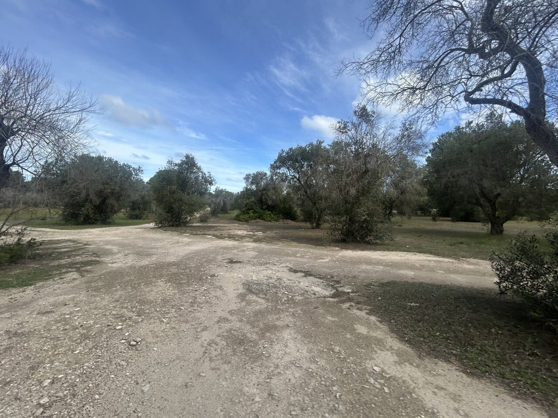 Land in Litorale Leccese, Lecce, Apulia 3 - 16596806