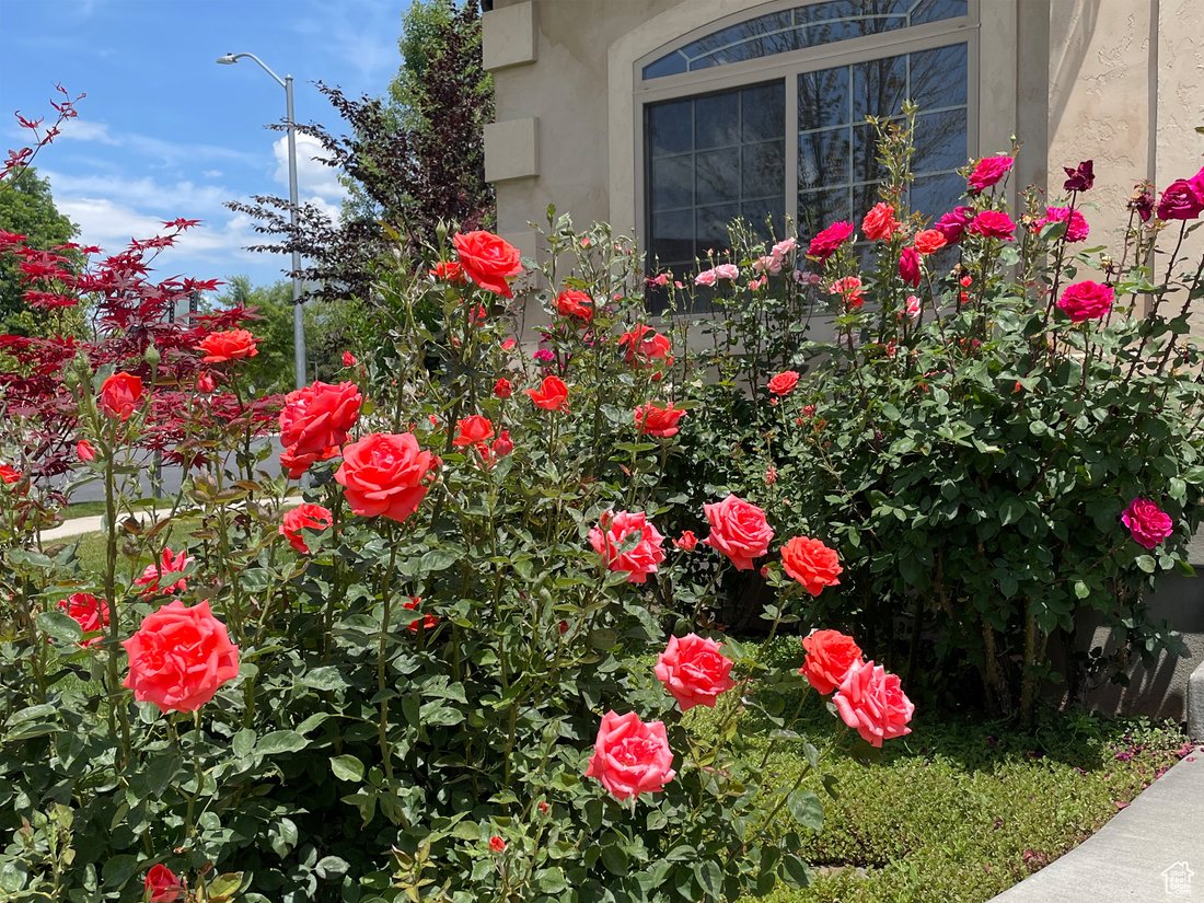 House in Provo, Utah, United States 5 - 16595316