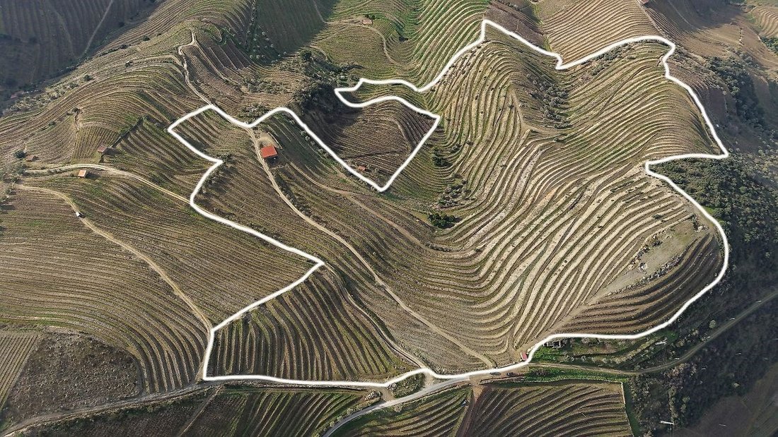 Farm Ranch in Ervedosa do Douro, Viseu District, Portugal 2 - 15171632