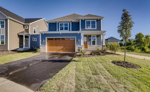 House in Vernon Hills, Illinois, United States 1