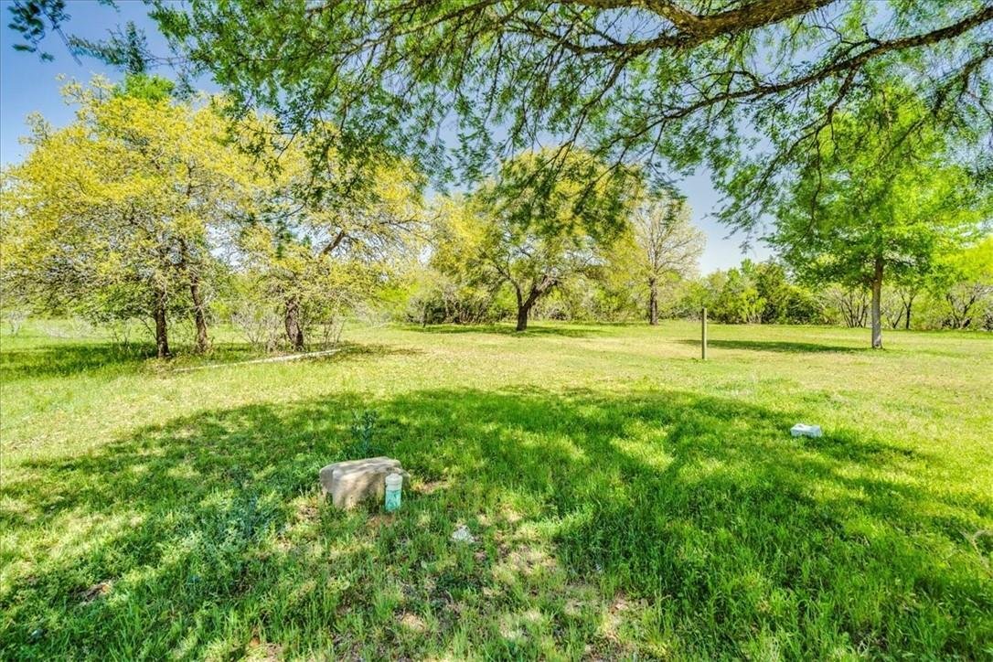 Cedar Creek, Texas, United States 5 - 16590034