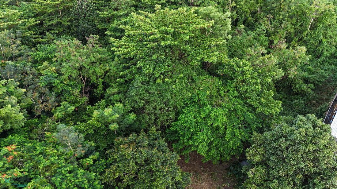 Land in Dorado, Dorado, Puerto Rico 4 - 16602845