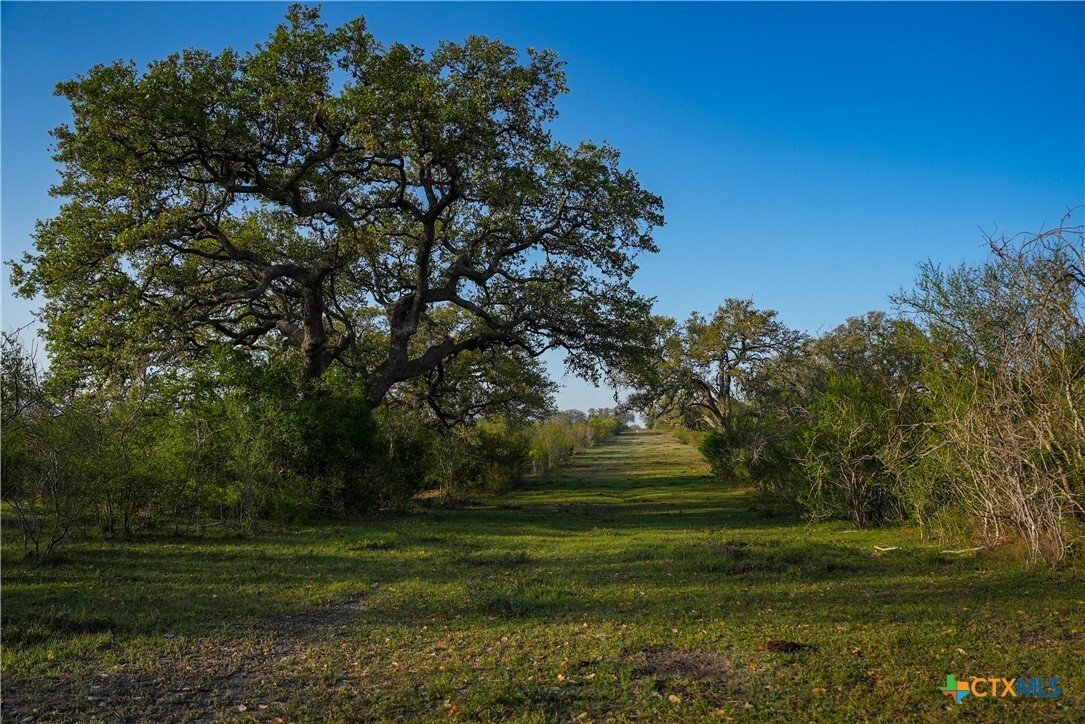 House in Goliad, Texas, United States 1 - 16584459