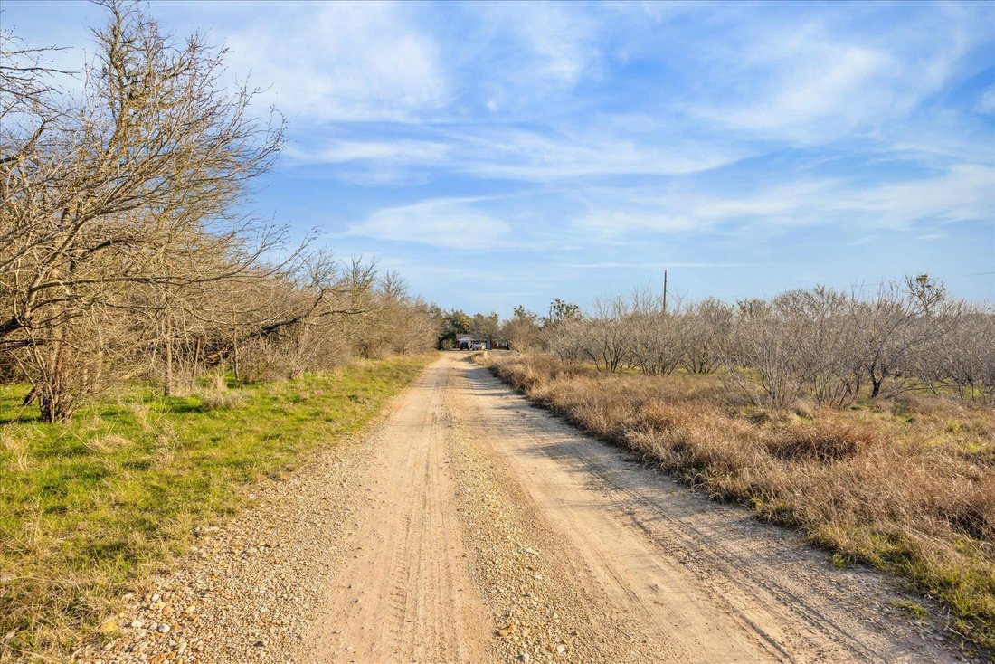 House in Austin, Texas, United States 5 - 16589590