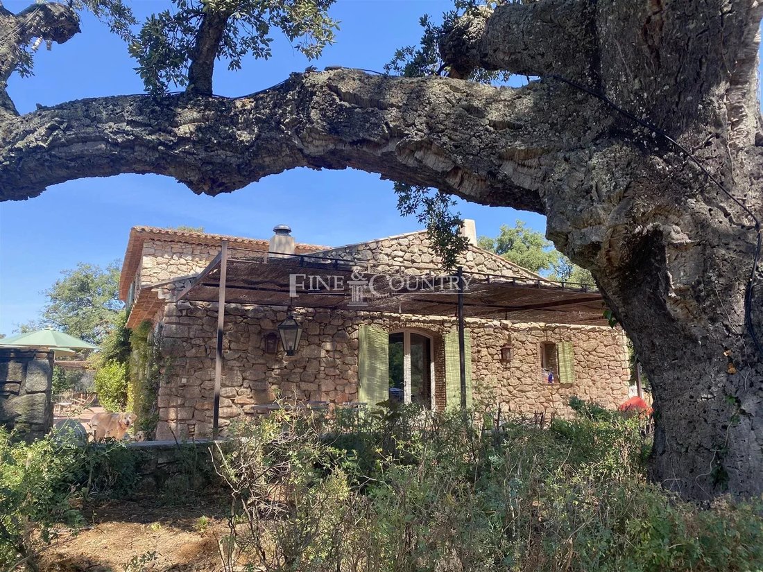 Villa in Ecarts, Roquebrune-sur-Argens, France 4 - 16603457