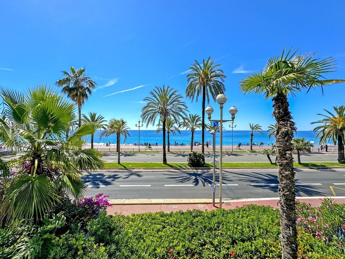Apartment in Nice, Provence-Alpes-Côte d'Azur, France 1 - 16605904