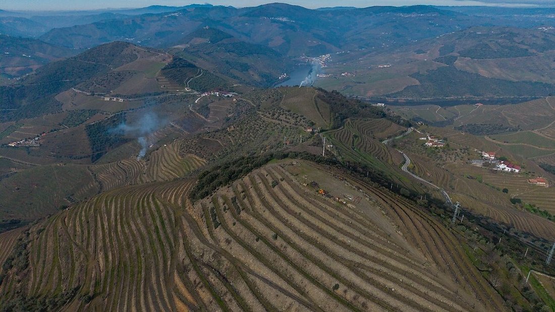 Farm Ranch in Ervedosa do Douro, Viseu District, Portugal 3 - 15171632